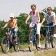 Nutzung hauseigener Fahrräder für eine Fahrradtour ein gut gefüllter Picknickkorb für Ihr leibliches Wohl